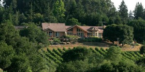 Working with architect David Colombo and interior designer Judith Green, Glenn Fricker Construction built this beautiful home, set amidst four acres of grapes and surrounded by beautiful countryside.